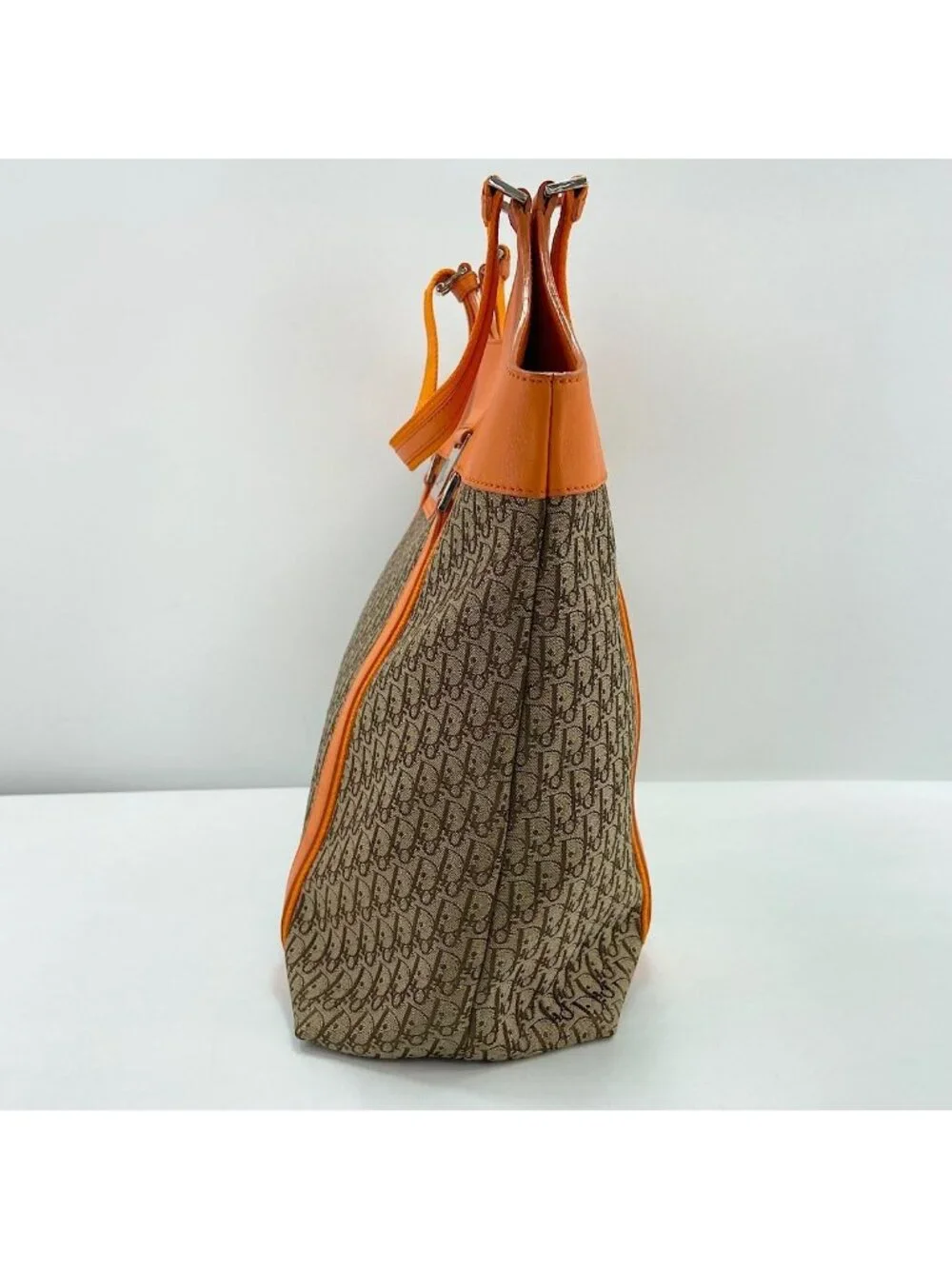 Dior Tote Street Chic Trotter
